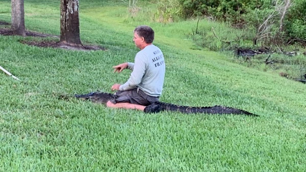 A nuisance alligator trapper in Pinellas County