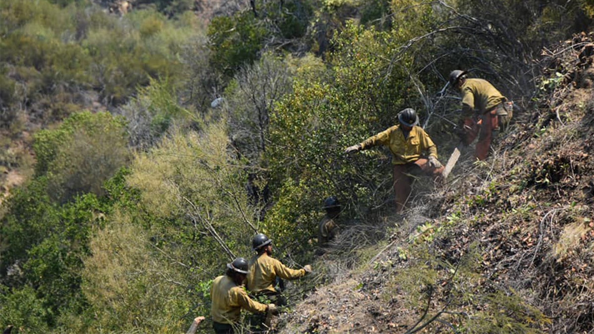 Firefighters work to combat the Monterey County, Calif. Willow Fire