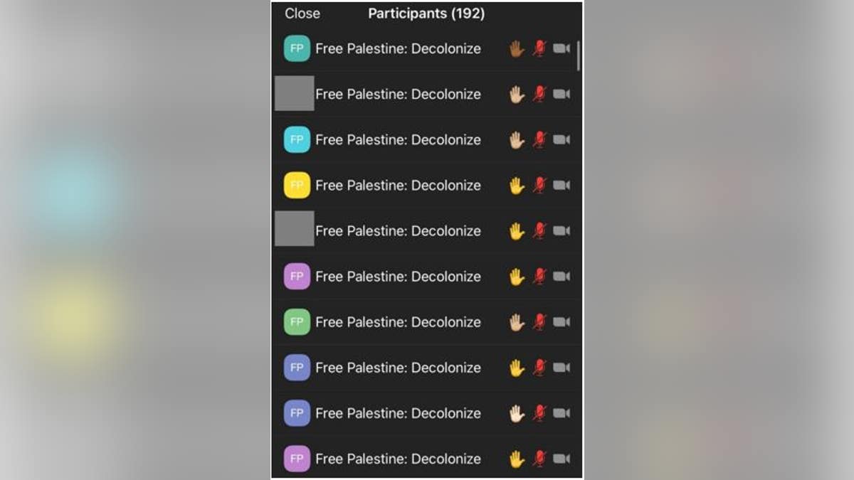A second screenshot provided to Fox News shows that many of the 192 total participants on the Zoom call changed their names to "Free Palestine: Decolonize," therefore hiding their identities in the chat section.