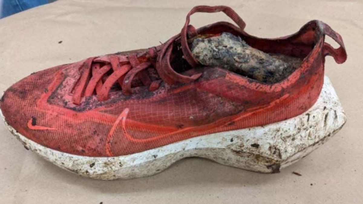 Hikers found the woman's shoe with skeletal remains inside on Saturday. (FBI)