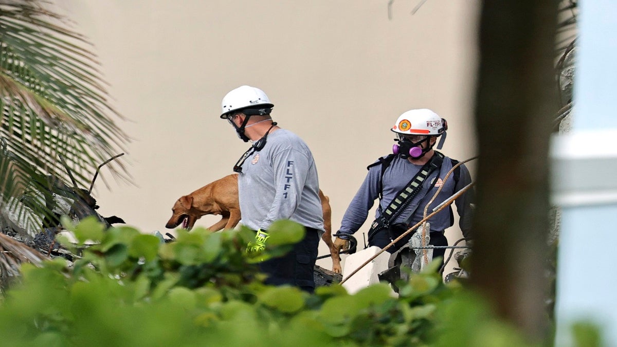 Search and rescue personnel with dogs search for survivors through the rubble at the Champlain Towers South Condo in Surfside, Fla., on Friday. (AP/Miami Herald)