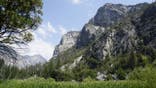 Sequoia and Kings Canyon National Parks
