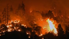 Police shoot, kill California man near marijuana farms evacuated by fire