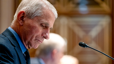 Fauci claims US gave $600,000 to Wuhan lab research; documents show it was more