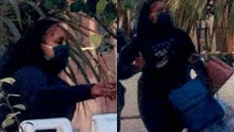 California thieves swarm Louis Vuitton store, steal more than $100,000 in handbags, police say