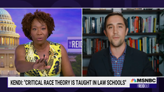 MSNBC's Joy Reid flamed for behavior during interview with CRT critic: 'Next time ... consider a real debate'