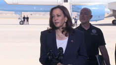 Kamala Harris ripped for blaming border crisis on Trump