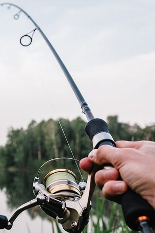 Fisherman catches RECORD fish by accident