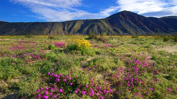 Trail limits set in this state park over heat-related rescues