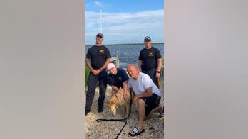 Golden retriever missing for 2 weeks found swimming in NJ bay; rescued by state police