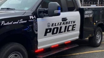 New Jersey boy mauled to death by family dogs after falling from window, police say