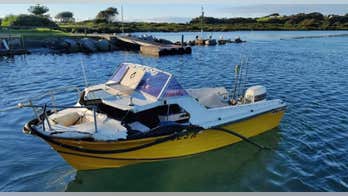 Teen in coma after being crushed by whale in freak accident