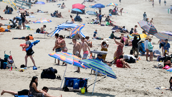 US beaches threatened due to toxic bacteria