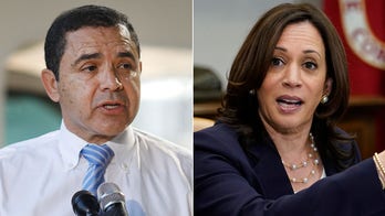 Democratic Rep. Cuellar urges Kamala Harris to visit border amid immigration crisis