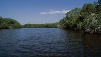 Woman in coma after crocodile attack, twin sister hospitalized in Mexico