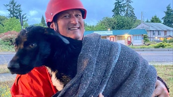 Oregon firefighters rescue injured dog stranded in canal
