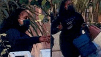 California thieves swarm Louis Vuitton store, steal more than $100,000 in handbags, police say