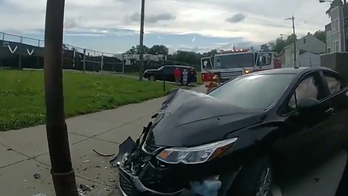 Cincinnati man crashes car after cicada 'smacked' him in the face