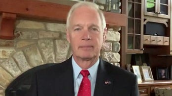 Kamala Harris' border trip designed to keep media away from crisis areas: Sen. Johnson