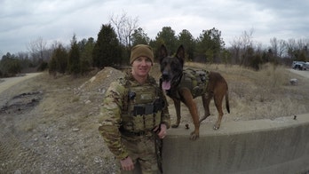 'Hero Dogs': Bullet-dodging canine protects entire Military team in Afghanistan