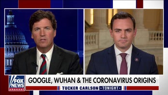 Scientists, Big Tech, media’s ‘useful idiots’ tried to ‘memory hole’ inconvenient facts about China: Gallagher