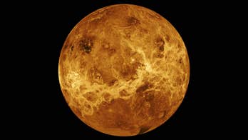 Study nixes life in clouds of Venus, but maybe in Jupiter's?
