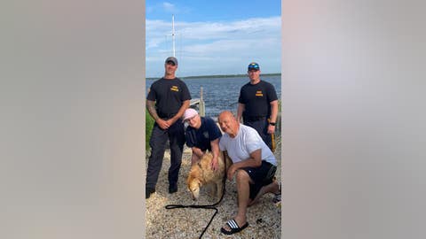 Golden retriever missing for 2 weeks found swimming in NJ bay; rescued by state police