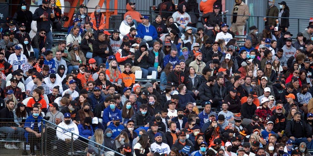 In this May 21, 2021, file photo, fans sit shoulder to shoulder in a vaccinated section of the stands during the fourth inning of a baseball game between the Los Angeles Dodgers and San Francisco Giants in San Francisco. California, the first state in America to put in place a coronavirus lockdown, is now turning a page on the pandemic. (Credit: AP Photo/D. Ross Cameron)