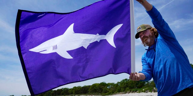 Jim Britt, communications director with the Maine Dept. of Agriculture, Conservation and Forestry, holds a new flag that will fly if sharks are detected near Maine beaches, Tuesday, June 1, 2021, at Crescent Beach in Cape Elizabeth, Maine. Last summer Maine had its first documented fatal shark attack. Credit: AP Photo/Robert F. Bukaty