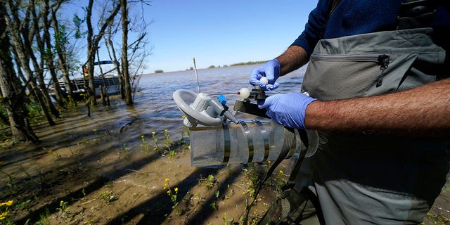 Mike Lamb, co-investigator, of the California Institute of Technology, prepares to take water samples to measure the amount of sediment in the water, in the Wax Lake area of the Atchafalaya River delta system, near Franklin, La., Friday, April 2, 2021. NASA is using high-tech airborne systems along with boats and mud-slogging work on islands for a $15 million study of these two parts of Louisiana's river delta system. (AP Photo/Gerald Herbert)