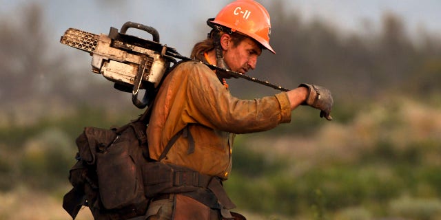 A member of the U.S. Forest Service's Trinity Hotshots firefighting crew carries a chain saw while hiking out of the burn zone Monday, June 28, 2021, at the Lava Fire north of Weed, Calif. (Scott Stoddard/Grants Pass Daily Courier via AP)