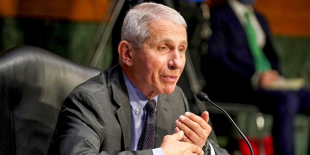 Dr.Anthony Fauci, director of the National Institute of Allergy and Infectious Diseases, arrives for a Senate Committee hearing on Health, Education, Labor and Pensions to discuss the ongoing federal response to COVID- May 19, 2021, in Washington, DC Fauci will testify again before this committee on Tuesday.  (Greg Nash-Pool / Getty Images)