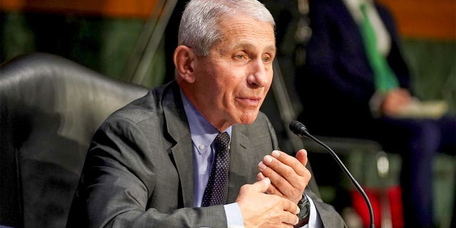 Dr. Anthony Fauci, director of the National Institute of Allergy and Infectious Diseases, arrives for a Senate Health, Education, Labor and Pensions Committee hearing to discuss the ongoing federal response to COVID-19 on May 11, 2021, in Washington, D.C. Fauci will testify before that committee again on Tuesday. (Greg Nash-Pool/Getty Images)