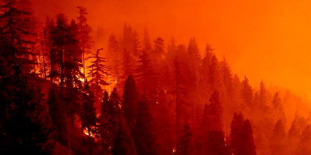 The Bobcat Fire continues to burn through the Angeles National Forest in Los Angeles County, north of Azusa, California, September 17, 2020. (Photo by Kyle Grillot / AFP) (Photo by KYLE GRILLOT/AFP via Getty Images)