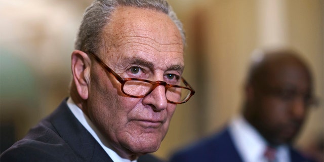 Senate Majority Leader Chuck Schumer, D-N.Y., meets with reporters before a key test vote on the For the People Act, a sweeping bill that would overhaul the election system and voting rights, at the Capitol in Washington, Tuesday, June 22, 2021. (AP Photo/J. Scott Applewhite)