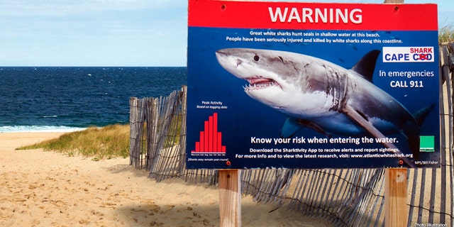 Warning sign for Great White Shark Biting Incidents, Newcomb Hollow Beach, Cape Cod, MA. (Photo by: Lindsey Nicholson/Universal Images Group via Getty Images)
