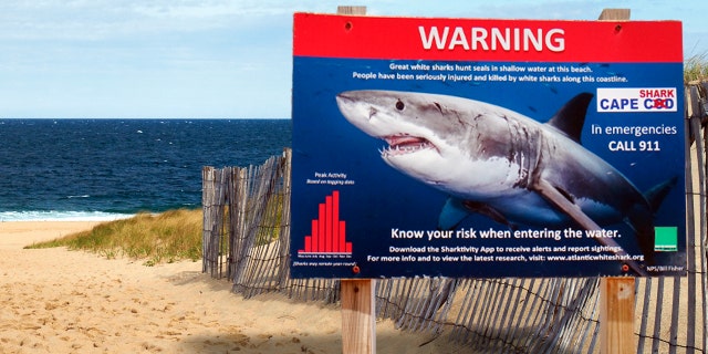 Warning sign for great white shark biting incidents, at Newcomb Hollow Beach in Cape Cod, MA.