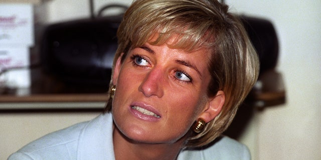 Stewart Pearce said he and Princess Diana became fast friends.