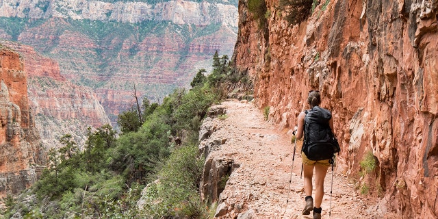 Young hiker with backpack is shown walking in the Grand Canyon in Arizona.