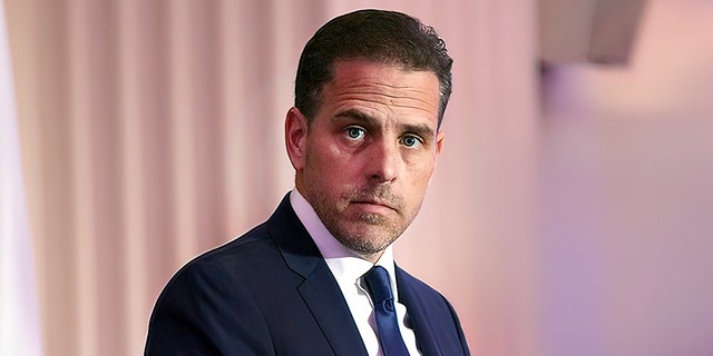 CNN anchor John King said on Wednesday that Hunter Biden is a "swamp creature" who used his powerful father to make money. (Photo by Teresa Kroeger/Getty Images)