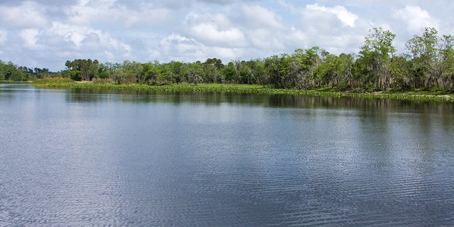 The environmentally sensitive St Johns River flows northward from Indian River County near the east coast of Florida, through Central Florida and eventually to Jacksonville. (iStock)
