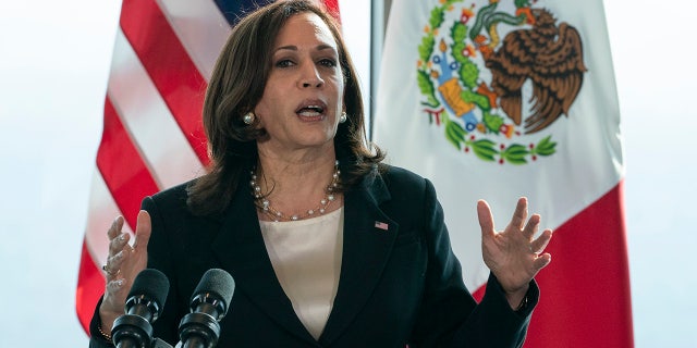 Junie 8, 2021: Vice President Kamala Harris speaks to the media at the Sofitel Mexico City Reforma in Mexico City. (AP Photo/Jacquelyn Martin)