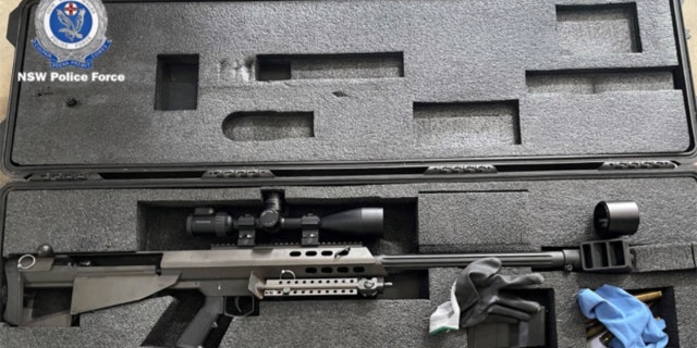 A total of 250 guns were seized during the sting operation.