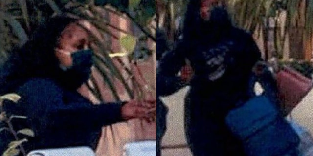 Un testimone è stato in grado di fotografare una donna sospettata mentre fuggiva attraverso il centro commerciale portando alcune delle borse rubate, ha detto la polizia.