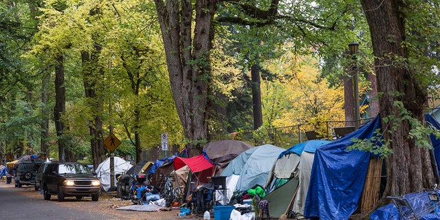 A large homeless camp at Laurelhurst Park in Portland, Oregon. Laurelhurst Park is at the center of one of Portland's most affluent neighborhoods. 