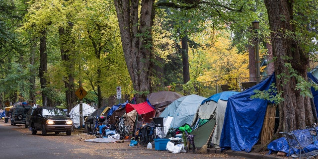 A large homeless camp at Laurelhurst Park in Portland, Oregon. Laurelhurst Park is at the center of one of Portland's most affluent neighborhoods. 