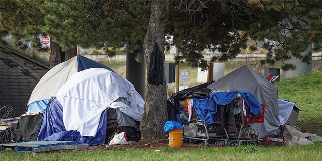 A homeless camp near the Delta Plex soccer field and a local park in Portland Oct. 22, 2019.  
