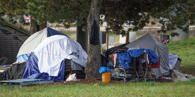 A homeless camp near the Delta Plex soccer field and a local park in Portland Oct. 22, 2019.  