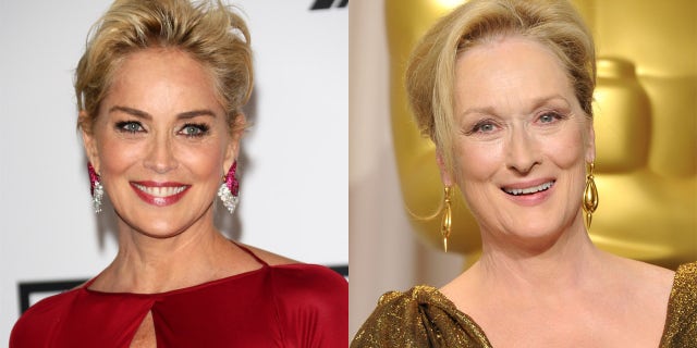 Sharon Stone said that there are other actresses ‘equally as talented’ as screen legend Meryl Streep.
