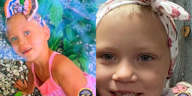 Investigators have shown little progress in the six weeks since Summer Wells went missing.